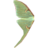 Luna Moth Wing