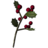 Snowberries