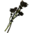 Tundra Cotton